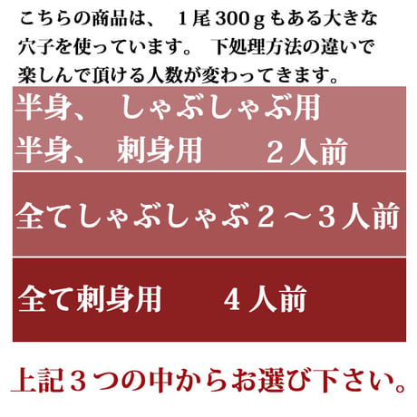 【選べる下処理】朝〆 穴子刺身、しゃぶしゃぶ用セット 約300gX1尾 （冷蔵便） 刺身用サク レシピ付き あなご アナゴ ギフトにも 母の日 父の日 お中元 お歳暮