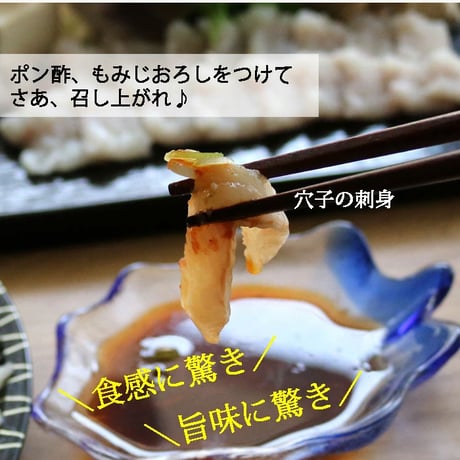 【選べる下処理】朝〆 穴子刺身、しゃぶしゃぶ用セット 約300gX1尾 （冷蔵便） 刺身用サク レシピ付き あなご アナゴ ギフトにも 母の日 父の日 お中元 お歳暮