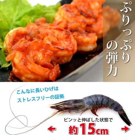 天使の海老《1kg/30-40尾》生食用 天使のえび 天使のエビ（冷凍便）