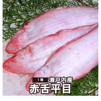 赤舌平目 （冷蔵便）瀬戸内もしくは国産 あかした ひらめ アカシタビラメ ヒラメ れんちょうかれい 鮮魚 フレンチ フランス料理