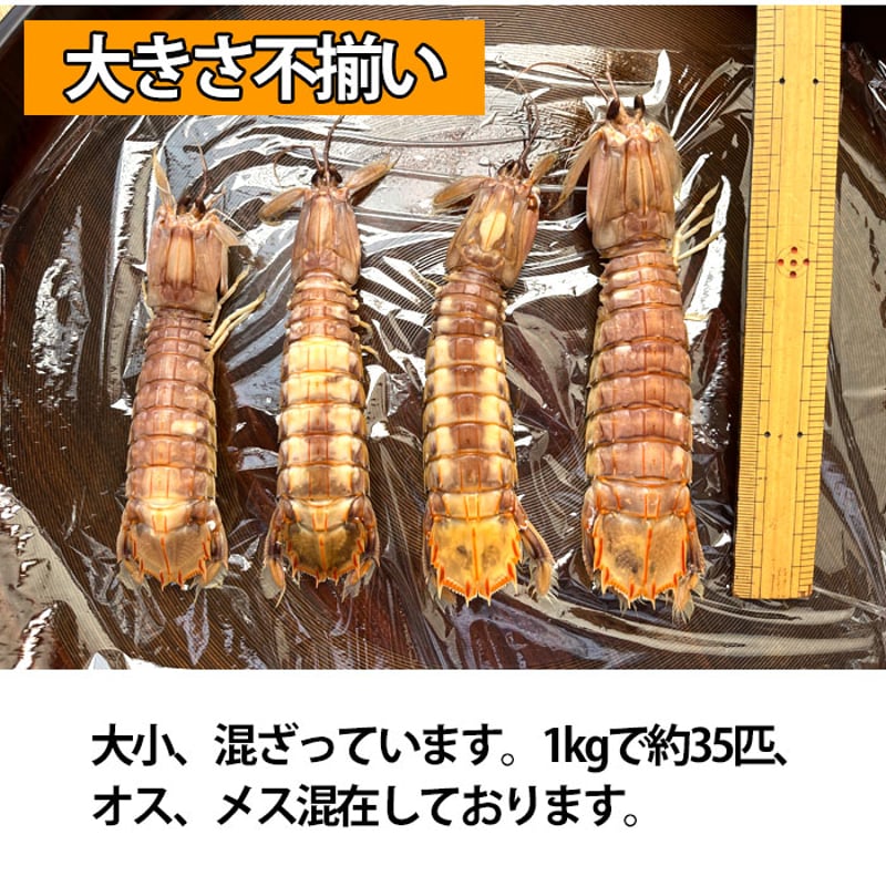 冷凍カメジャコ　180匹 冷凍カメジャコ180匹