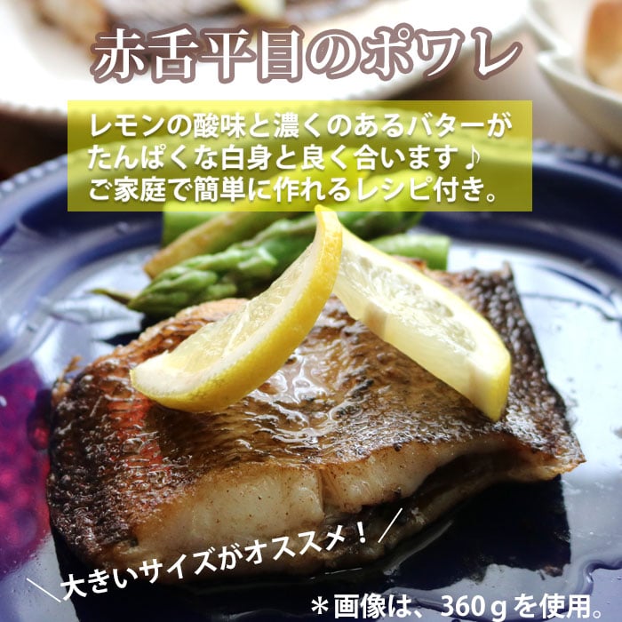 赤舌平目 （冷蔵便）瀬戸内もしくは国産 あかした ひらめ アカ