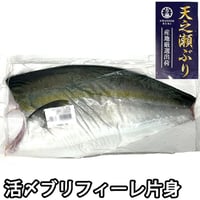 天之瀬 ブリフィーレ 半身（冷蔵便）ぶり 鰤 刺身 しゃぶしゃぶ 生