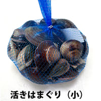 活き はまぐり 小 1kg 35粒前後入り 三重県 国産 バーベキュー お吸い物 ひな祭り お食い初め おせち 御祝い 蛤  のコピー