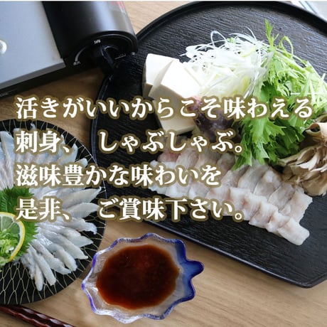 【選べる下処理】朝〆 穴子刺身、しゃぶしゃぶ用セット 約300gX1尾 （冷蔵便） 刺身用サク レシピ付き あなご アナゴ ギフトにも 母の日 父の日 お中元 お歳暮
