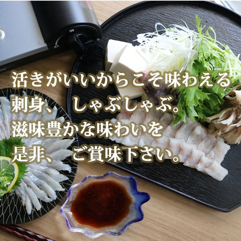 66c2b13565b82003a6ff21ec