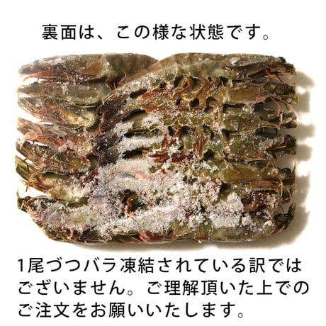 ソフトシェルシュリンプ 455g （15尾入り）X1箱～5箱 唐揚げ ガーリックシュリンプ パエリア バーベキュー BBQ （冷凍便）