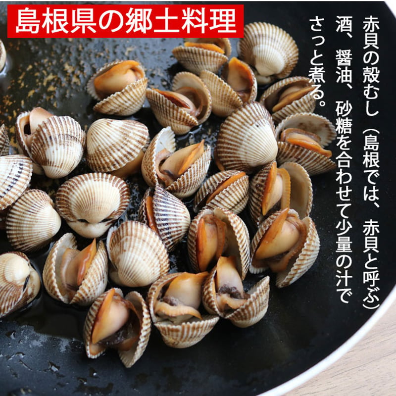 サルボウ 貝 約1kg 愛知もしくは韓国 赤貝に似ている さるぼうがい