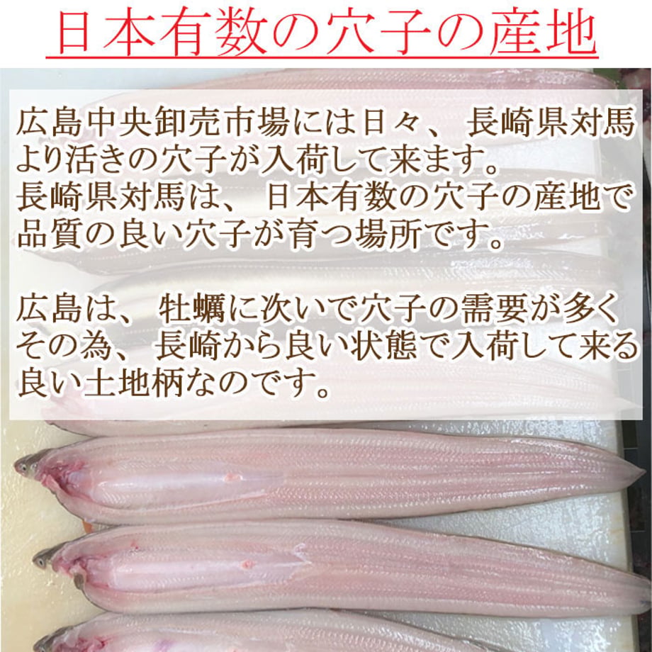 66c2b13565b82003a6ff21ec