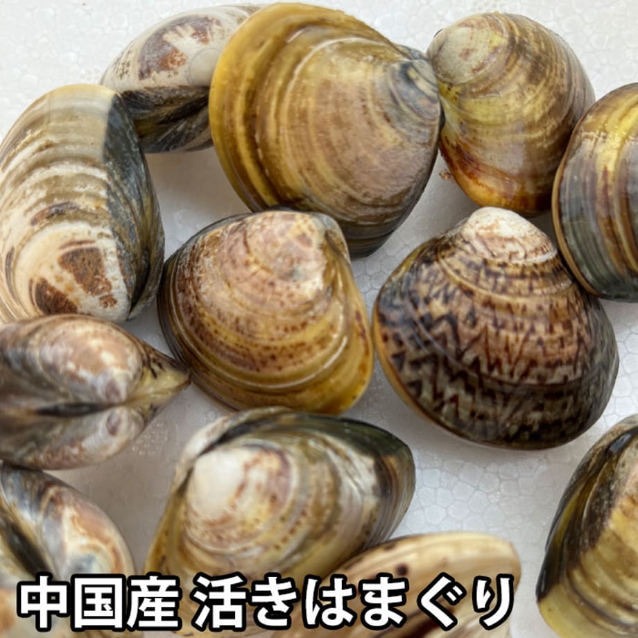 678db9b67656e205d2d51ef8