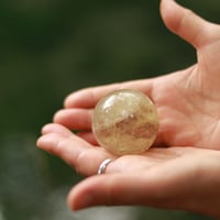 延長オプション分（単独での購入はできません）