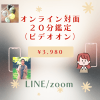 オンライン対面２０分鑑定（ビデオオン）