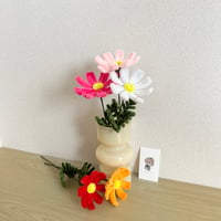 モールフラワー｜コスモス