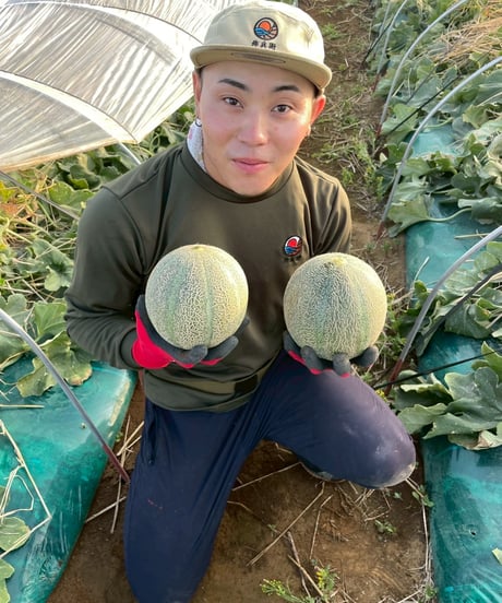 レノンスター【赤肉】 千葉県産 大２玉入　 (２玉/約3.6kg〜)