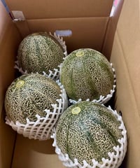 とろ甘メロン 千葉県産 ４玉入 (４玉/約5.6kg〜)