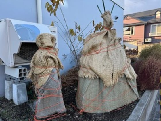 メールマガジンのサブ画像2