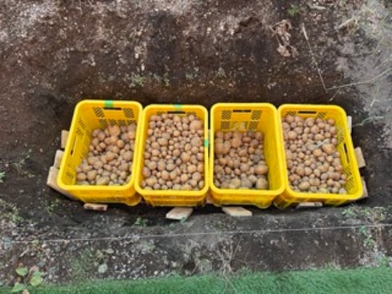 メールマガジンのサブ画像1