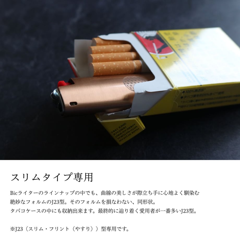 66d5e9409300a91d5afdd2ee
