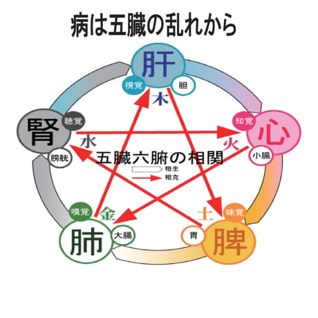 神波丹〜SHINPADAN〜