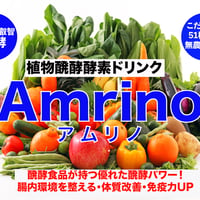 amrina（アムリナ）〜植物醗酵酵素ドリンク 500ml 〜