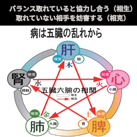 十全健禄湯（量子波動入り）