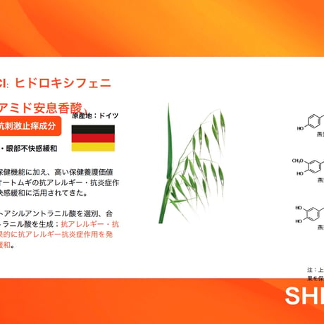 クリアビジョン スターターセット
