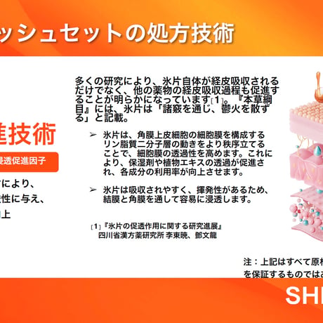 クリアビジョン スターターセット