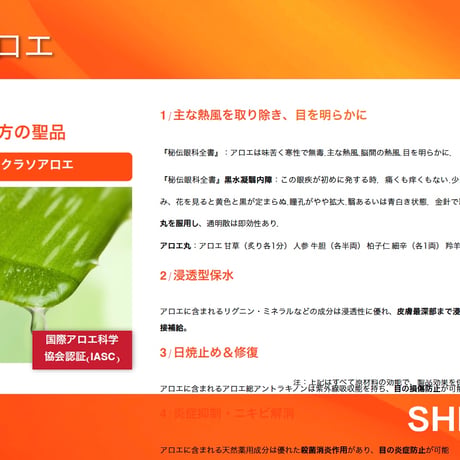 クリアビジョン スターターセット
