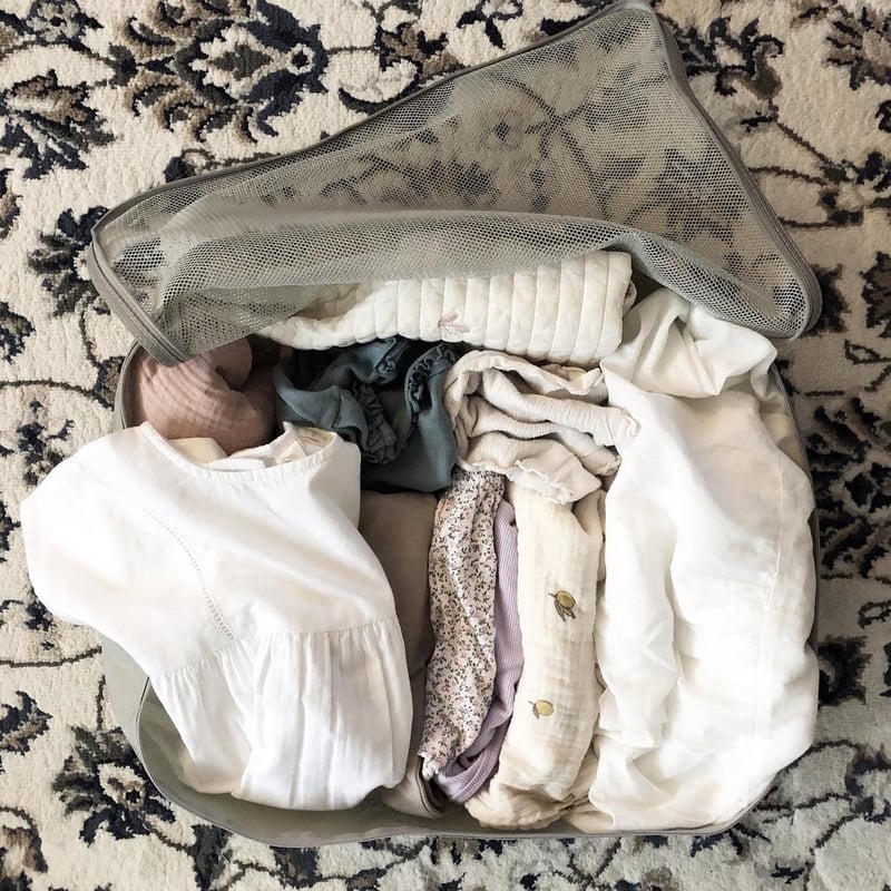 travel cube (ミニチェリーポーチ付き) | Purple peanuts