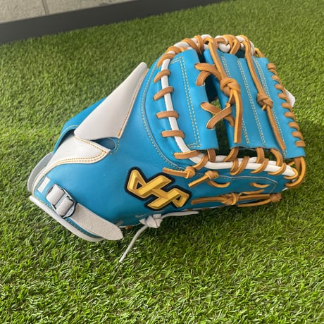 BASEBALL DREAMER