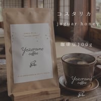 コスタリカ｜珈琲豆か粉１００ｇ｜蜂蜜のような甘さ