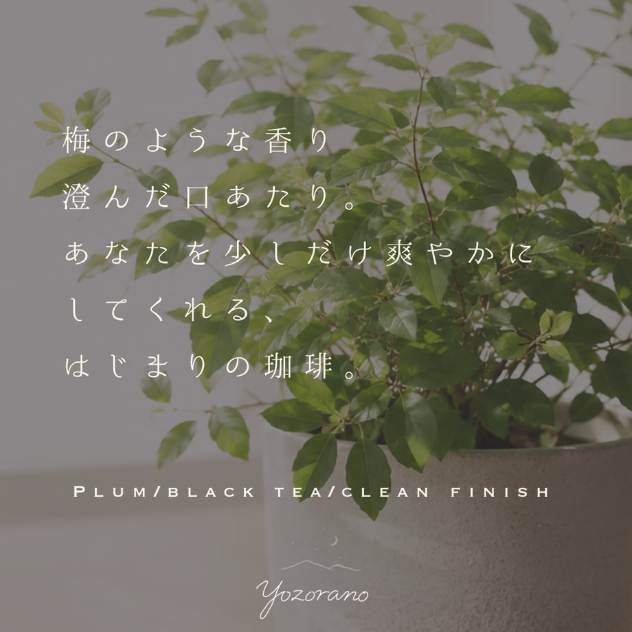 6a290280bcb4c445cbeae83b