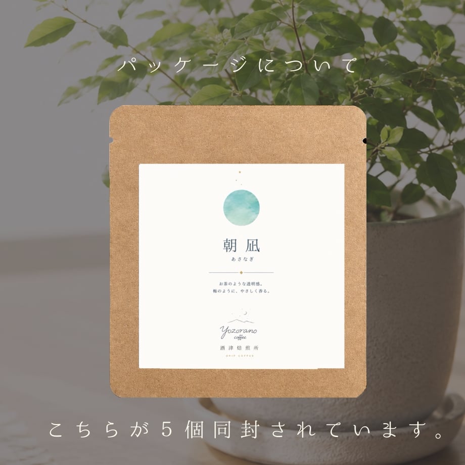 6a290280bcb4c445cbeae83b