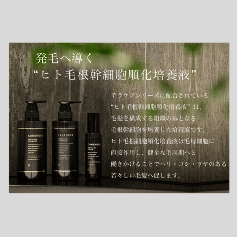 ケアネス CARENESS スカルプケアミスト 100ml 3本セット CARENESS（ケアネス） テラケア スカルプミスト 100mL | Muscle Sablier