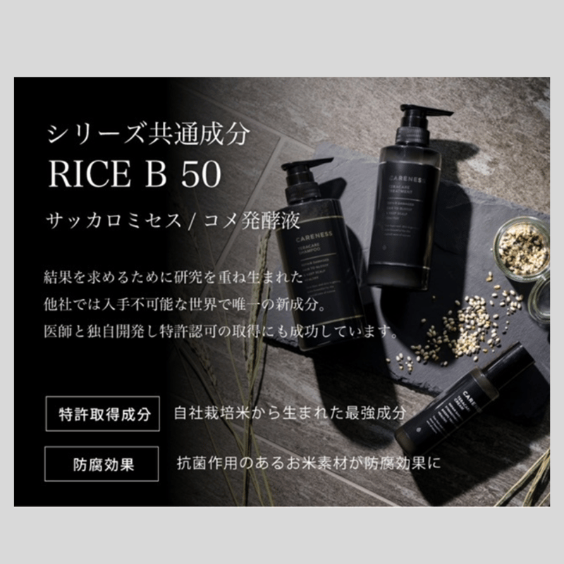 CARENESS（ケアネス） テラケア シャンプー 500mL | Muscle Sablier