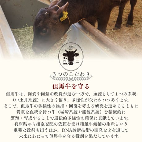 【神戸大学ビーフ】焼肉用（カタ・モモ・バラ mix）300g