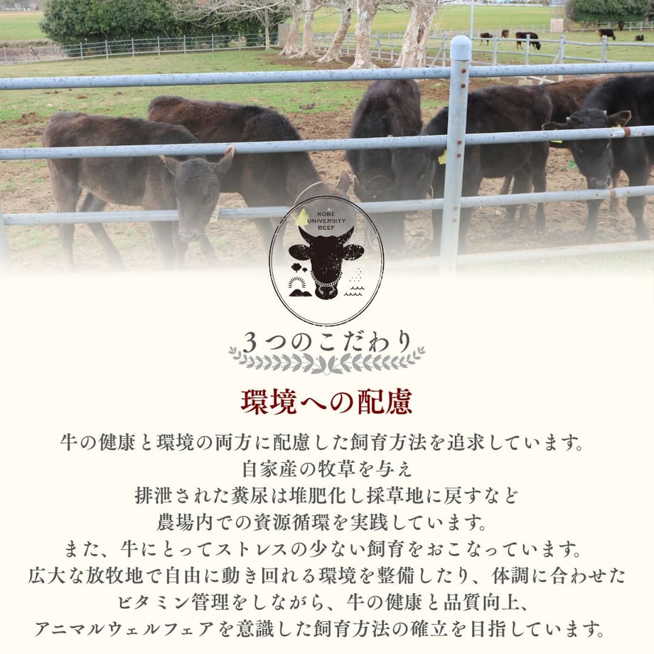 686b5f0fa51c74bcf05de2f6