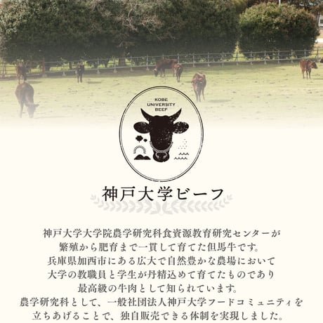 SOLDOUT　【神戸大学ビーフ】ローストビーフ用（モモ肉）300g