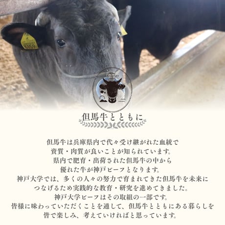 【神戸大学ビーフ】焼肉用（カタ・モモ・バラ mix）300g