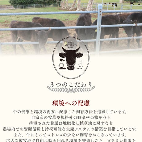SOLDOUT　【神戸大学ビーフ】ローストビーフ用（モモ肉）300g