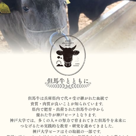 SOLDOUT　【神戸大学ビーフ】ローストビーフ用（モモ肉）300g