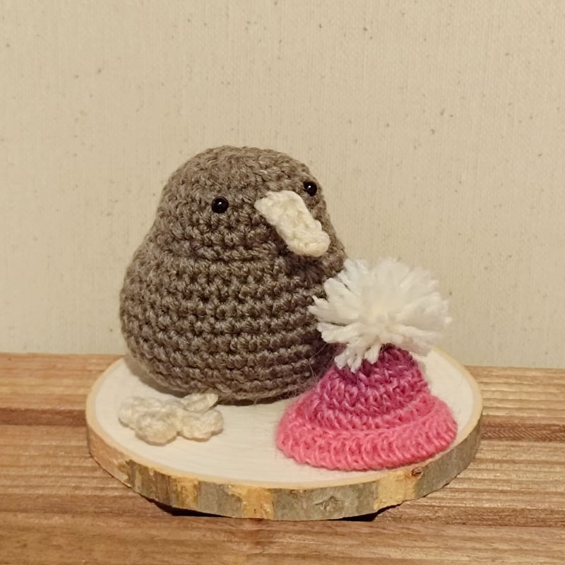 ニット帽付き！キウイのあみぐるみ | ことり番地