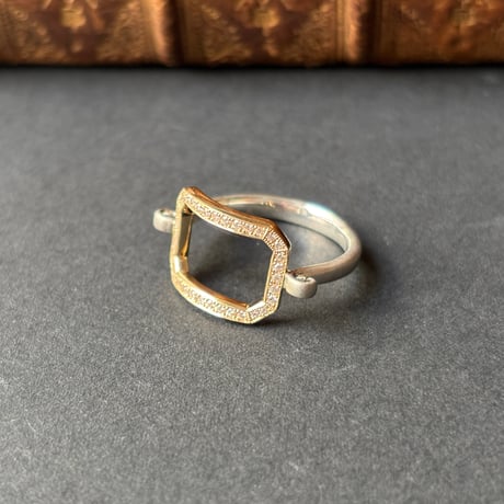 Octagon Ancient Ring _ K18YG/SV