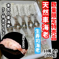 数量限定格安出品『お刺身車海老特大サイズ10尾入り』
