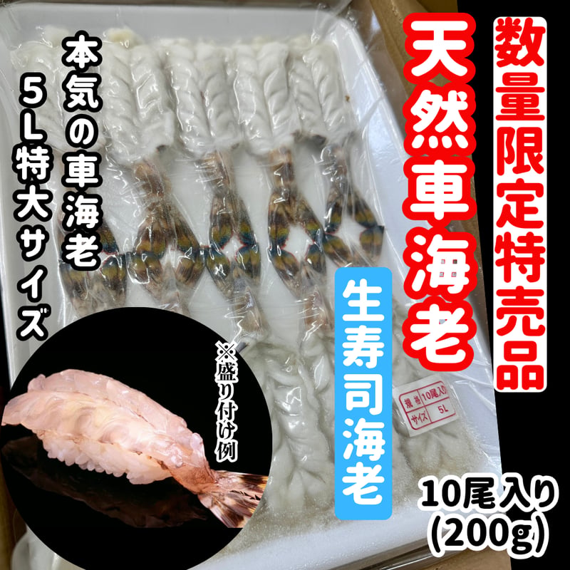 数量限定格安出品『お刺身車海老特大サイズ10尾入り』 | STORE+328