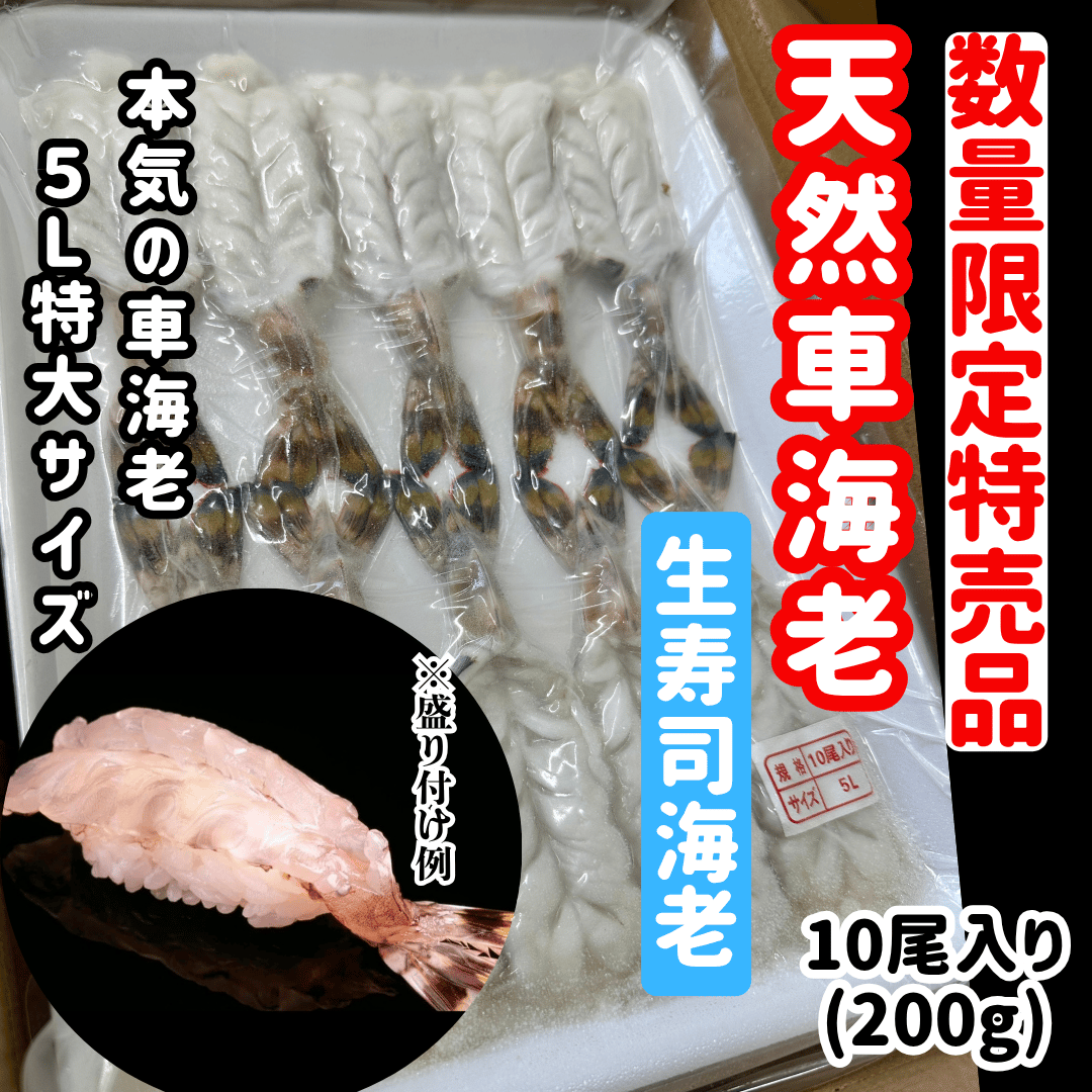 数量限定格安出品『お刺身車海老特大サイズ10尾入り』 | STORE+328