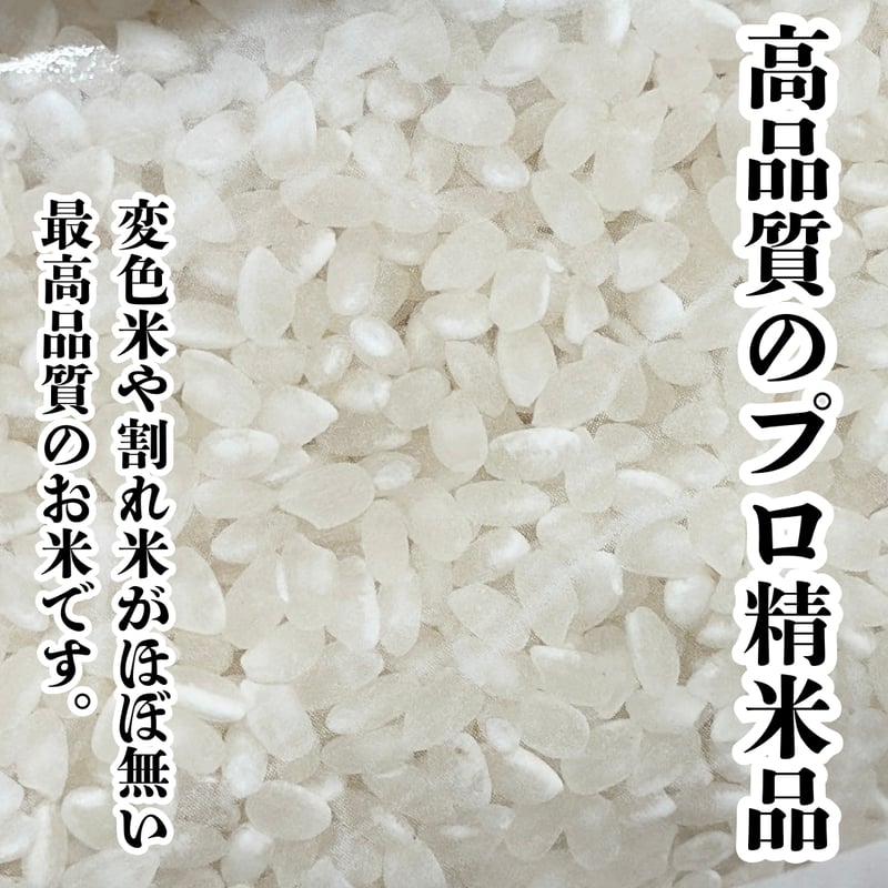 Sakura様　令和6年滋賀県産きぬひかり精米30kg Sakura様 令和6年滋賀県産きぬひかり精米30kg