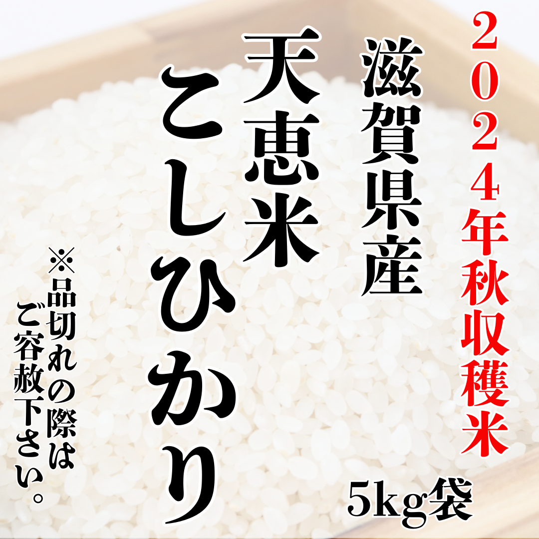 滋賀県産　コシヒカリ 白米10kg 2024年秋収穫 2024年秋収穫米『滋賀県産天恵米こしひかり』 | STORE+328