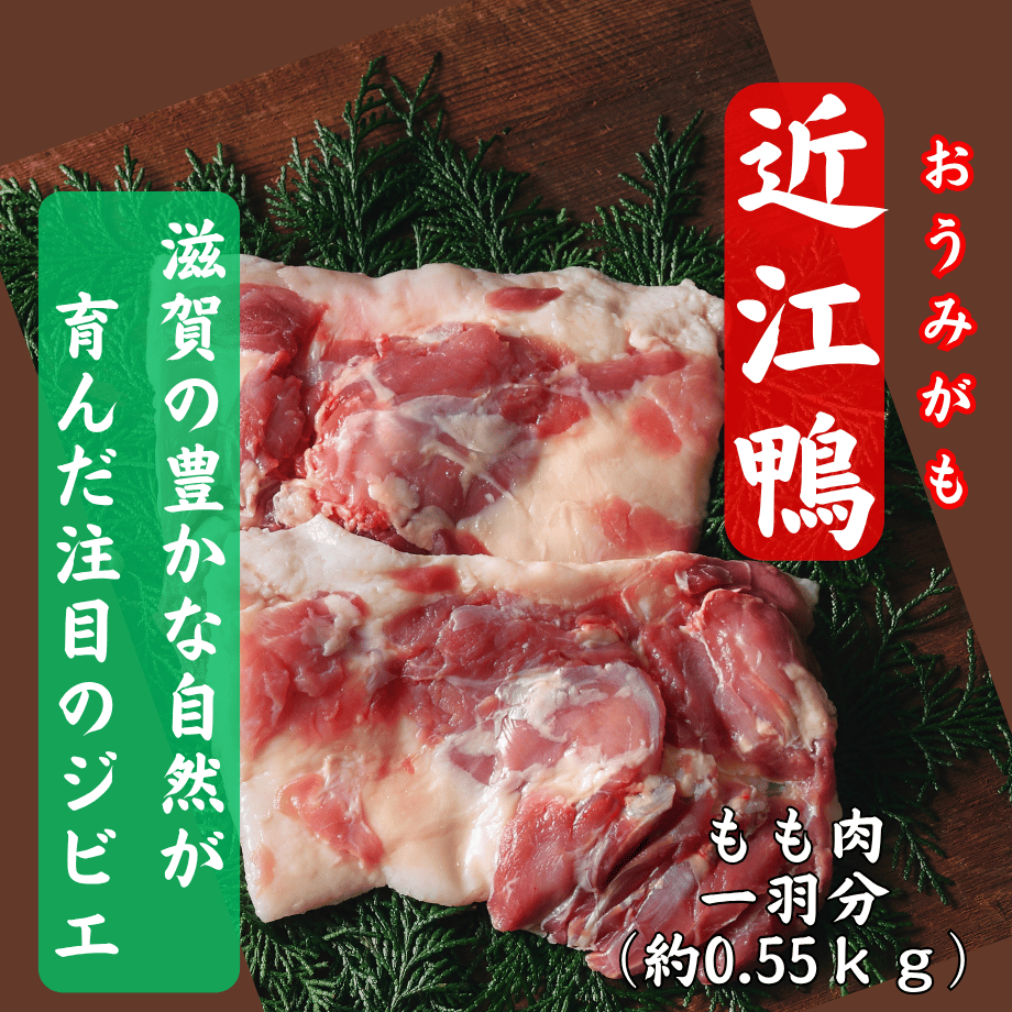 6847b79ee99ff90fa81428f0