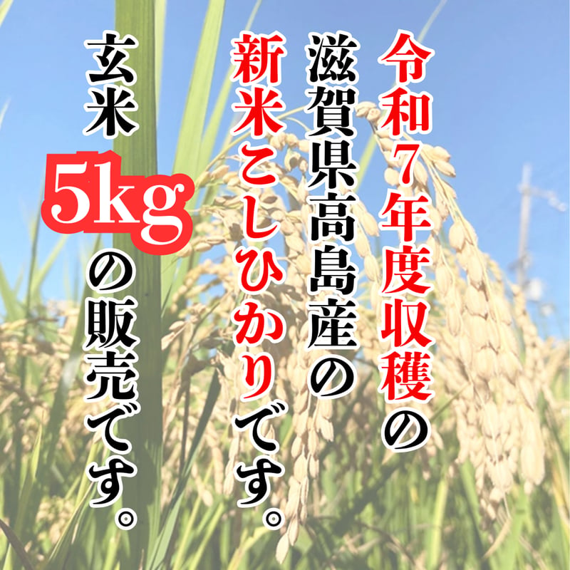 令和7年・新米切り替え！『滋賀県高島産こしひかり玄米5kg